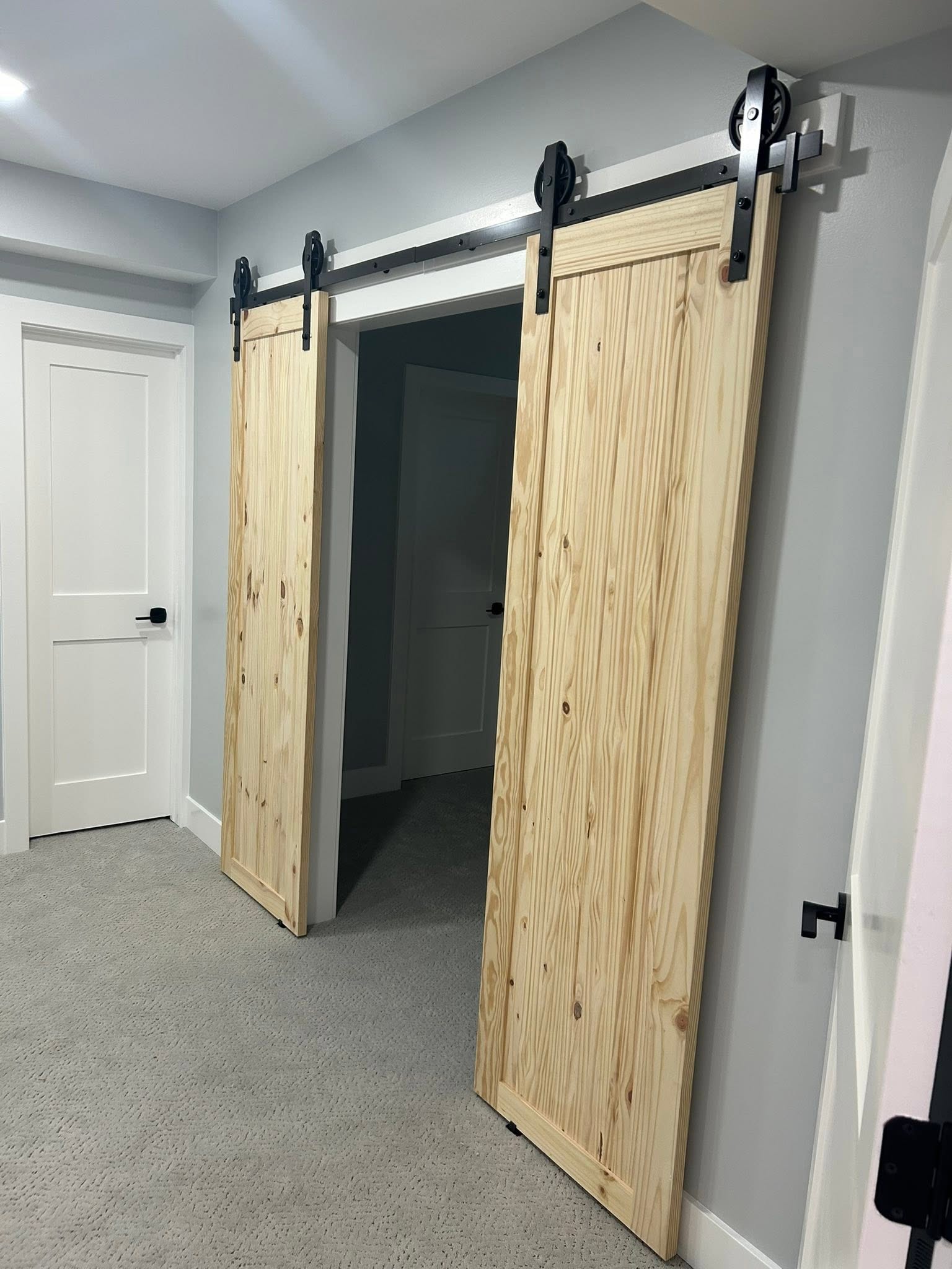 Basement remodel