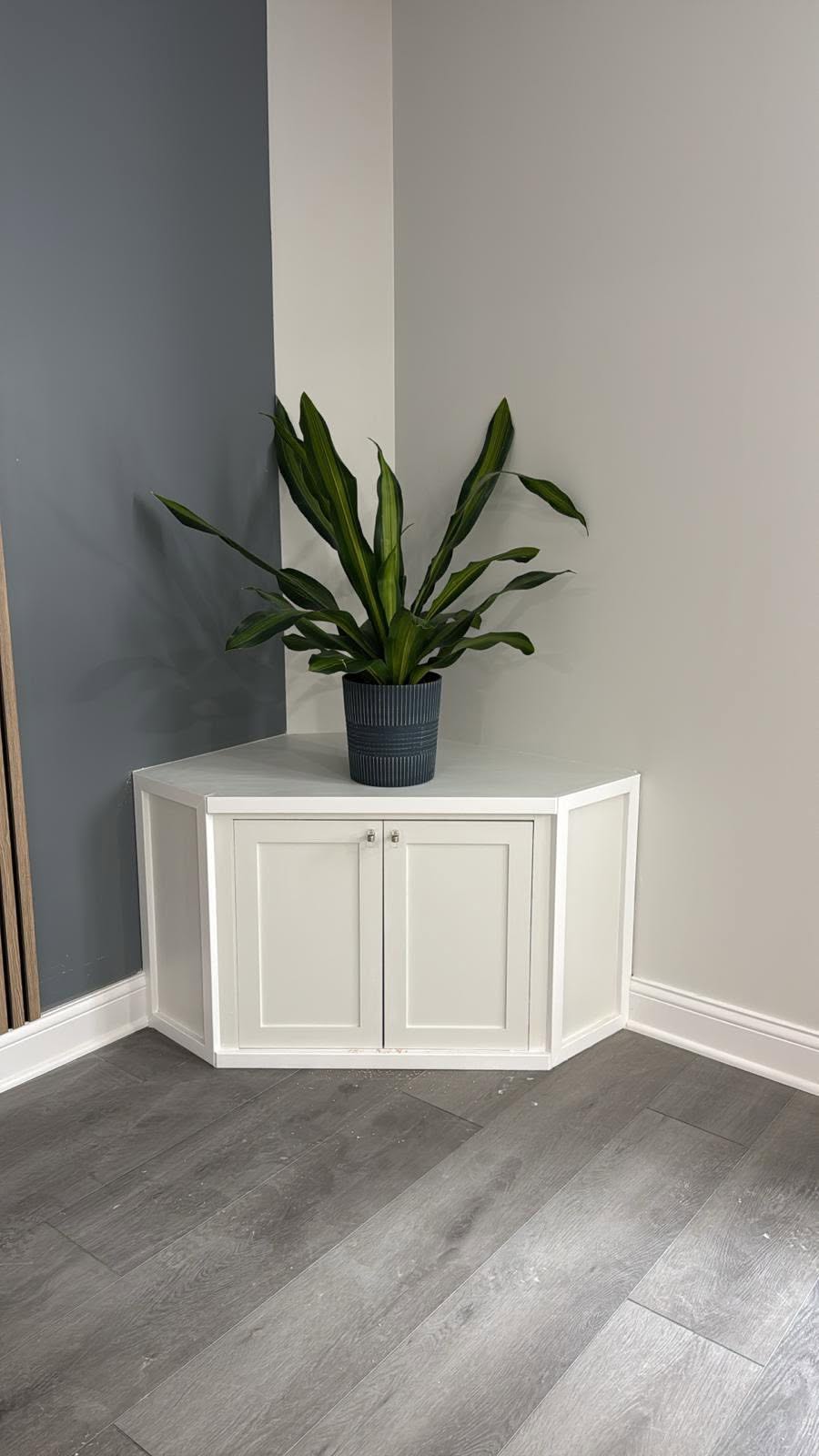 Basement living space